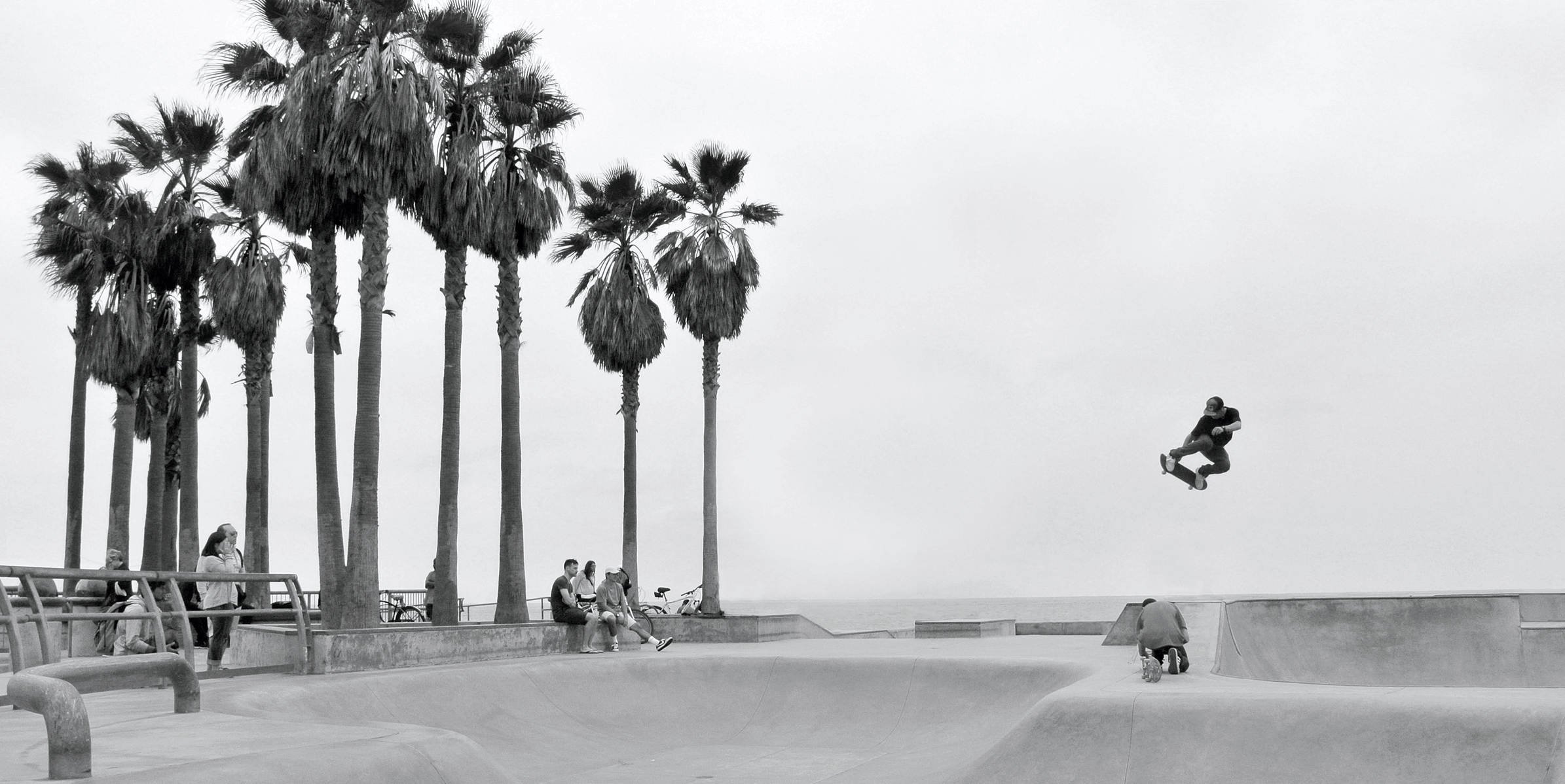 Skateboarder performing an aerial trick at Dogtown Venice Beach skatepark, surrounded by palm trees in black and white.